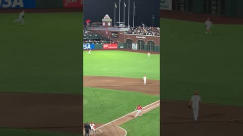 Spencer Steer breaks up Alex Cobb’s possible no-hitter with 2 outs in the 9th #sfgiants #mlb Spencer Steer breaks up Alex Cobb’s possible no-hitter with 2 outs in the 9th #sfgiants #mlb