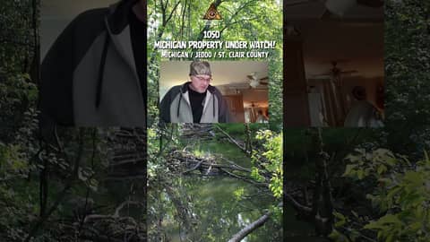 Something has been active on this land for years Something has been active on this land for years