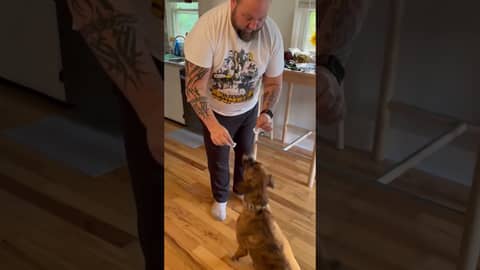 Darkness Radio’s Ziggy Starpup picks the @nfl #week7 matchup between the Jaguars and the Saints