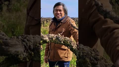 The Wonderful World of Wine (WWW)