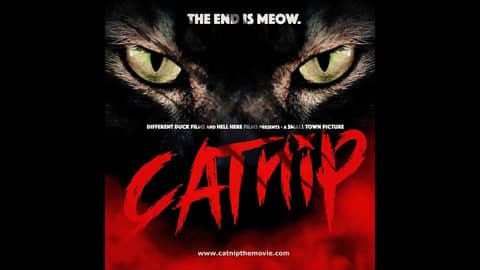 Catnip The Movie: A Discussion with the Cast and Crew!