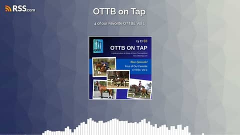 Ep 23: 4 of our Favorite OTTBs, Vol 1