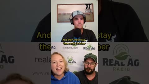 Episode 233 with Chris and Lyndsey of Shady Creek Lamb! #solargrazing #sheep #canada