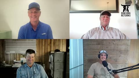 247: Brian, Tyson and Rob - Bull Development and Evaluation