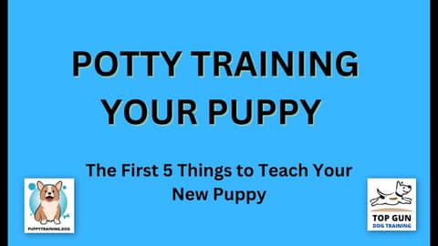 Part 4 - The First 5 Things to Teach Your New Puppy