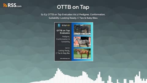 S2 E3: OTTB on Tap Evaluates Vol 2! Pedigree, Conformation, Suitability: Looking Ready, C... S2 E3: OTTB on Tap Evaluates Vol 2! Pedigree, Conformation, Suitability: Looking Ready, C...