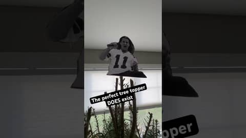 The perfect Christmas tree topper does exist #creed #scottstapp #christmas #christmastree @creed