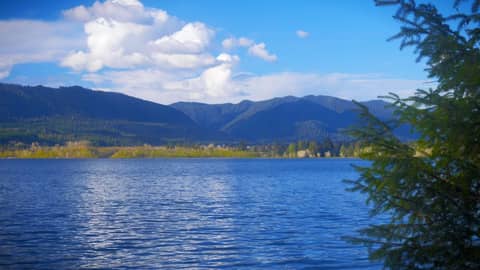 Water Sounds ASMR for Sleep or Relaxation 😌 Chill Vibes by the Lake