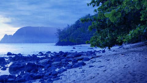 Rain & Storm Sounds with Ocean Waves Crashing 🌧️ White Noise for Sleeping, Focus, Relaxation Rain & Storm Sounds with Ocean Waves Crashing 🌧️ White Noise for Sleeping, Focus, Relaxation