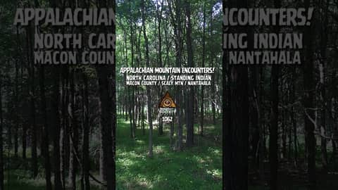 For over 15 years, a hunter in Western North Carolina has documented encounters deep in the