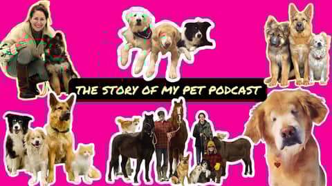 CBD Benefits for Pets and Humans: Real Stories from Animal Advocate Joanne George