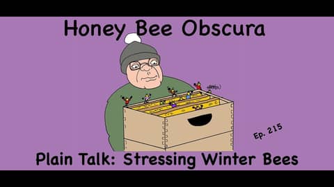 Plain Talk: Stressing Winter Bees (215)