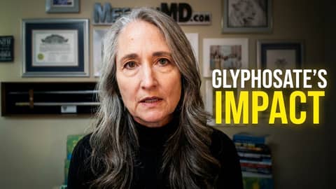 Trump's Glyphosate Order Sparks Debate | Cathy Meehan Interview Trump's Glyphosate Order Sparks Debate | Cathy Meehan Interview