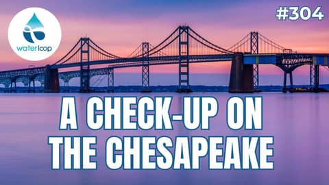 The Truth About Chesapeake Health: Are Restoration Efforts Actually Working?