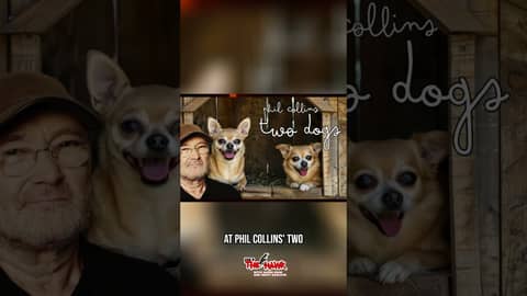 Phil Collins' TWO DOGS