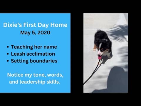 Dixie First Day Home