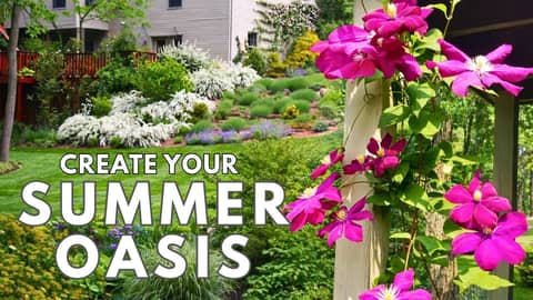 🌟 “A Garden for All Four Seasons: Summer in Our 20 ‑Year Sanctuary.”