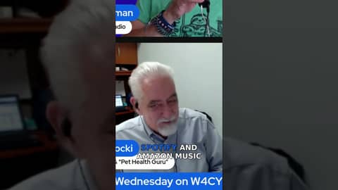 Why Vet Visits Can Cost More Than Human Doctors