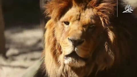 Programa de Jóvenes (7/1/23)