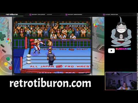 Natsume Championship Wrestling (SNES)
