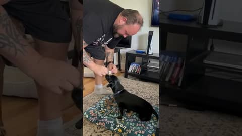 Talia picks the @NFL #week2  Thursday Night football game between the @vikings & the @eagles !