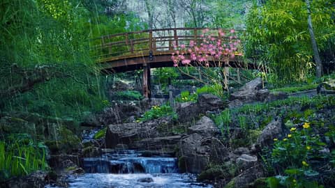 Rainstorm & Water Sounds in Serene Japanese Garden | Relaxing White Noise Rainstorm & Water Sounds in Serene Japanese Garden | Relaxing White Noise