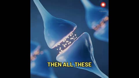 The lens you look through determines what you see...