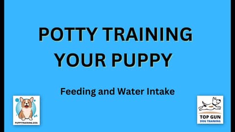 Part 16 - Feeding and Water Intake