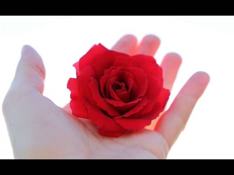 Raising Awareness of Physician Suicide