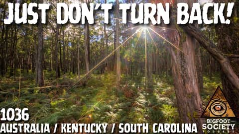 From Australia to Appalachia: Bigfoot Encounters Caught Live | Bigfoot Society 1036