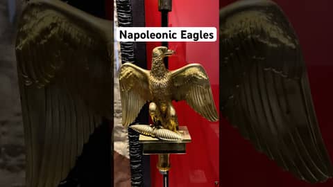 Napoleonic Eagles Napoleonic Eagles