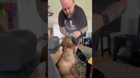 Ziggy Starpup picks the @NFL #week2  matchup between the @packers & the @AtlantaFalcons !