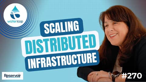 The AMAZING Ways Forests, Lawns, and Parks Can Help Water