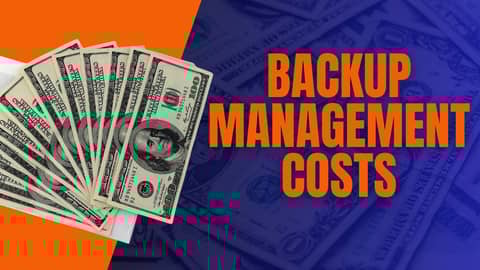 Reducing Backup management costs