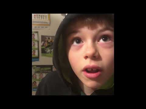 Dice Cricket Explained