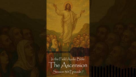 Waiting for His Return: The Meaning of Christ’s Departure