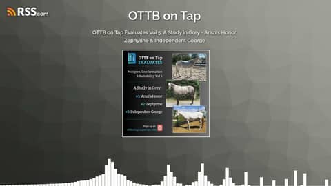 OTTB on Tap Evaluates Vol 5: A Study in Grey - Arazi's Honor, Zephyrine & Independent George OTTB on Tap Evaluates Vol 5: A Study in Grey - Arazi's Honor, Zephyrine & Independent George