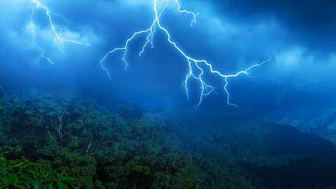 Give me ALL the RAIN & THUNDER ⚡ Rainstorm White Noise for Sleep 10 Hours Give me ALL the RAIN & THUNDER ⚡ Rainstorm White Noise for Sleep 10 Hours