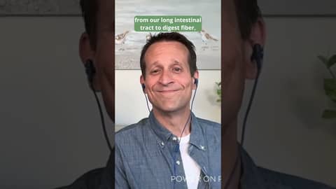 Is your Body REALLY Designed To Run On Plants? 🏃🤔 #shorts