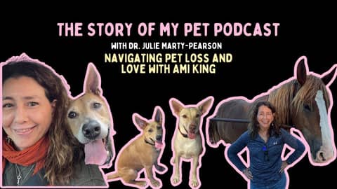 Navigating Pet Loss: Real Stories of Love and Challenges with Ami King