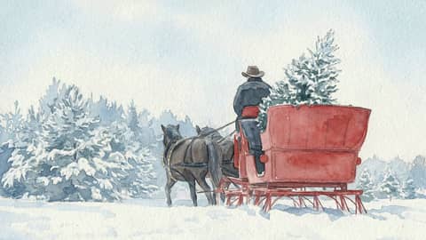 20251224 Winter Sleigh Christmas