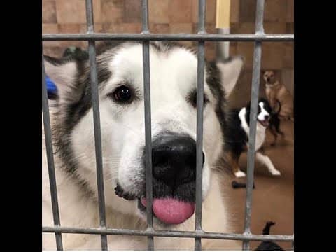 Culper's Canteen Cup S01E79