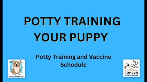 Part 9 - Potty Training and Vaccine Schedule