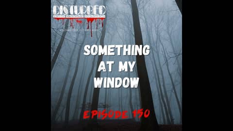 Something at My Window