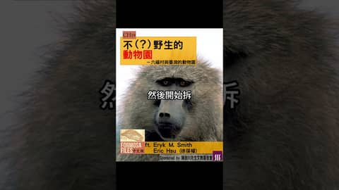 FORMOSA FILES 中文版 CH19-不（？）野生的動物園—六福村與臺灣動物園#formosafiles #podcast #臺灣 #歷史故事 #歷史 #六福村 #壽山動物園