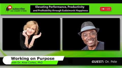 Elevating Performance, Productivity and Profitability through Eudaimonic Happiness