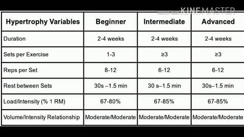 30 for 30 what do I do? PT. 1: Hypertrophy