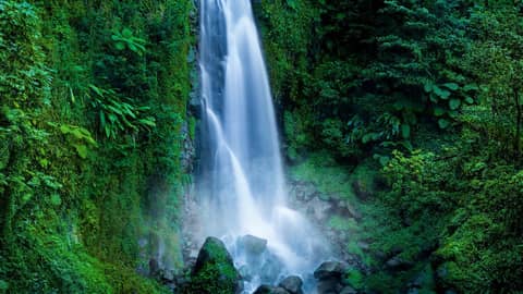 Roaring Waterfall White Noise | Falling Water Sounds for Sleeping
