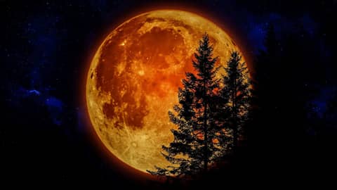 White Noise for Sleeping | Perfect for Spooky Season!