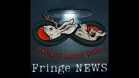 261. The Patterns in the Data - News 1.26.26